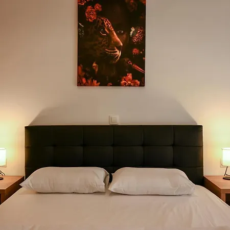 Appartement Center Modern